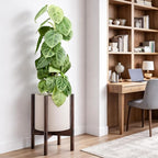 D'vine Dev Planter Pot with Stand - 10 Inch Plastic Cylinder Flower Pot with Wood Planter Holder for Indoor, Oatmeal Pot + Walnut Color Stand, 55-C-L-4