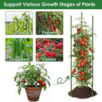 CEWOR Tomato Cage - 3 Pack Tomato Cages for Garden, Up to 51.2" Tall Tomato Trellis Plant Support Garden Stakes, Adjustable Vegetables Structures for Pots, Raised Garden Bed, Climbing Plants Outdoor