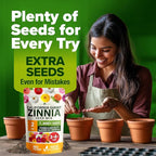 HOME GROWN Zinnia Seeds for 2026 - California Giant Mix - 7,300+ (2 oz) Plant Wildflower Blooms Bulk Seeds for Planting Flowers Outside - Pollinator Gardens (Zinnia elegans)