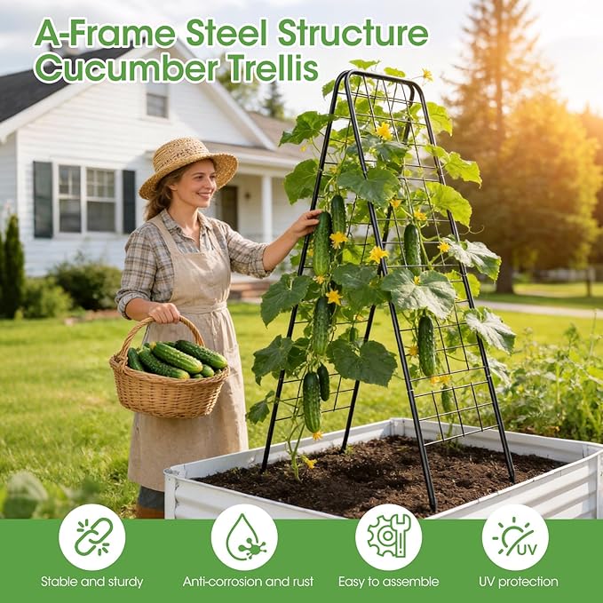 Heavy Duty Cucumber Trellis，50"x17"Adjustable A-Frame Trellis for Climbing Plants，Metal mesh Design, Rust-Proof and UV-Resistant，Garden Trellis for Cucumber Beans and Vine Type Plants.Black&2 Pcs