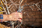 Corona Tools DualCUT Forged Steel Bypass Hand Pruner – 1″ Cutting Capacity Garden Pruning Shears for Branch & Stem Cutting