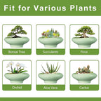 Ceramic Bonsai Pots - Large Succulent Planter 13 Inch Plant Pot Indoor Succulent Pot with Drainage Hole Outdoor Planter Bonsai Tree Pot for House Home Garden Office Decor Green