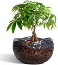 Ceramic Planter 10 Inch - Ceramic Plant Pots for Indoor Outdoor, Decorative Flower Pot with Drainage Hole and Plug, Round Unique Pots for Plants, Room Balcony Decor, Garden Gifts, Brown-blue
