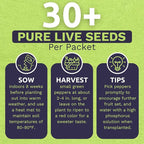 Organic Shishito Pepper Seeds – Two Seed Packets! – Approx 30 Open Pollinated Non-GMO Seeds Per Packet (60 Total) – Sweet Yards Seed Co.