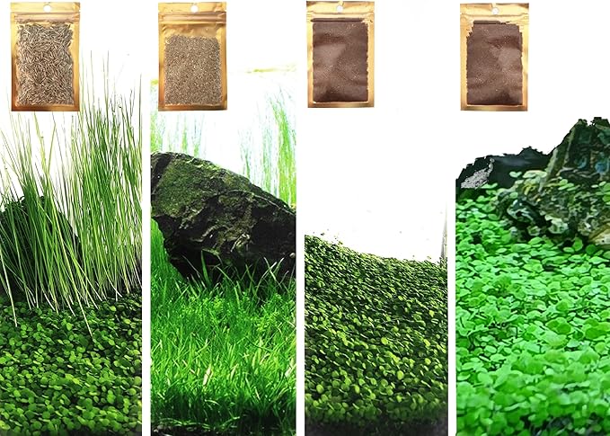 4 Bags Aquarium Plant S.e.e.ds, not Artificial Plastic Plant, Fish Tank Live Grass for All Substrate (0.36ozTiny+0.36oz Long+0.36oz Short+0.36oz Big Dual) ZQV-014