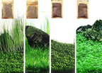 4 Bags Aquarium Plant S.e.e.ds, not Artificial Plastic Plant, Fish Tank Live Grass for All Substrate (0.36ozTiny+0.36oz Long+0.36oz Short+0.36oz Big Dual) ZQV-014