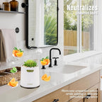 Artificial Succulent Plants with Subtle Orange Scent, Faux Indoor Plants for Home Decor, Small Fake Plant for Bathroom, Bedroom, Office Decor, Aesthetic Room Accessories, Housewarming Gift