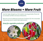 Jack's Classic 10-30-20 Blossom Booster Water-Soluble Fertilizer with Micronutrients for Increasing Color and Quantity of Blooms in Flowering Plants, 1.5lbs