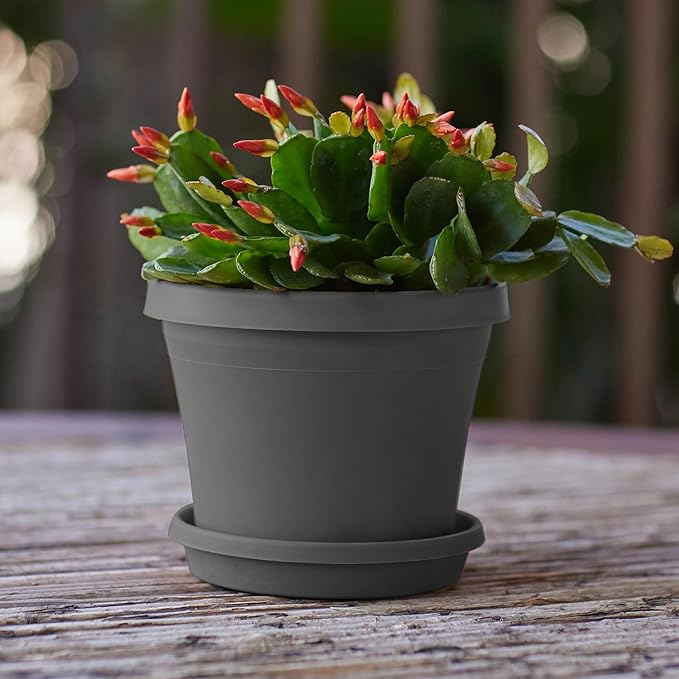 Bloem Terra 6" Diameter Round Charcoal Resin Planter Pot with Drainage Holes for Indoor and Outdoor Gardening