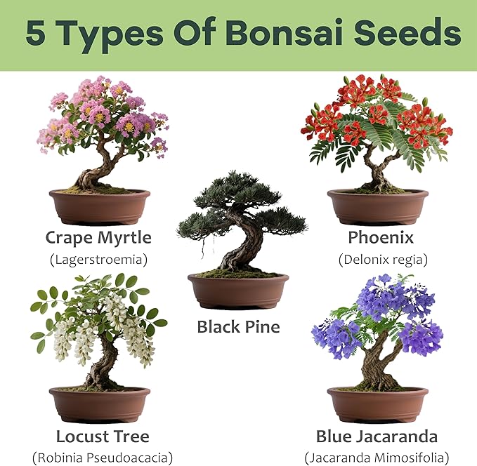 LUOJIBIE Bonsai Tree Kit for Beginners - Unique DIY Japanese Bonsai Trees,Crafts for Adults, Ideal Gardening Birthday Gift for Women & Men,Complete Indoor Plant Kit