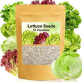 Lettuce Seeds, 10 Varieties Individual Packs, 60000+ Non-GMO Heirloom Vegetable Seeds for Planting Indoor Outdoor for Fresh Salad, Easy to Grow for Garden Beginners, Gifts for Women Men Plant Lovers.