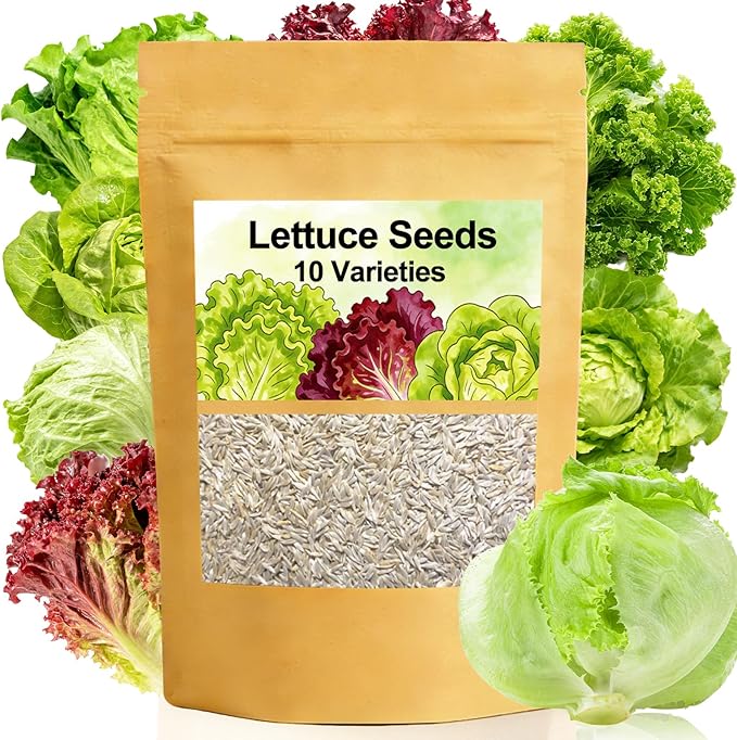 Lettuce Seeds, 10 Varieties Individual Packs, 60000+ Non-GMO Heirloom Vegetable Seeds for Planting Indoor Outdoor for Fresh Salad, Easy to Grow for Garden Beginners, Gifts for Women Men Plant Lovers.