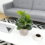 Artificial Potted Plants Life-Like Fake Plant with Farmhouse-Style Cement Planter Feturing Light Wood Tone for Room Bathroom Bedroom Kitchen Office Dese Coffee Table Décor (9inch)