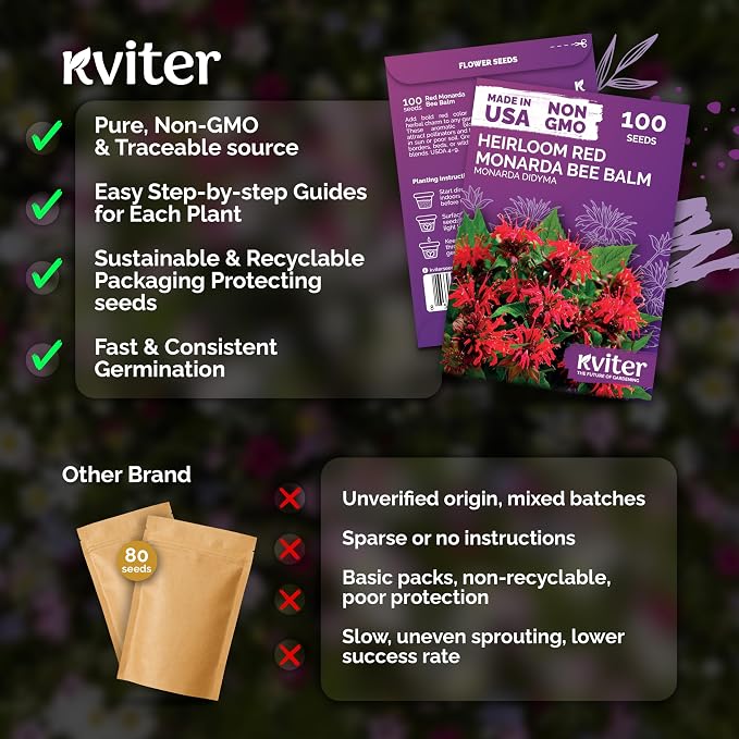 KVITER 100 Red Bee Balm Seeds Perennial (Monarda Didyma) – Wild Bergamot, Pollinator Magnet, Heirloom & Non GMO – Perennial Flower Seeds to Plant Outside, Perfect for Butterfly Gardens & Borders