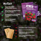 KVITER 100 Red Bee Balm Seeds Perennial (Monarda Didyma) – Wild Bergamot, Pollinator Magnet, Heirloom & Non GMO – Perennial Flower Seeds to Plant Outside, Perfect for Butterfly Gardens & Borders