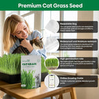 Groundio Cat Grass Seeds, 4 Oz, Non-GMO Wheat & Oat Seeds Mix, High Germination Seeds Grown in USA for Indoor Cats