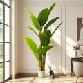 6ft Artificial Banana Tree Extra Tall Fake Plants Indoor for Living Room Large Faux Tree High End Realistic Floor Plant Big Silk Tree for Home Office Pet Friendly Large Indoor Plant Tropical Decor