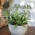 Artificial Flowers Plants for Outdoor Planters 8 Bundles Purple Flower Large Spring Summer 18.9 in Look Real Plasic Plant for Front Porch
