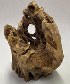 3 Natural Cholla Wood Air Plant Display Holders Individually Unique Round Decorative Stands (3 Pack Cholla Rounds)