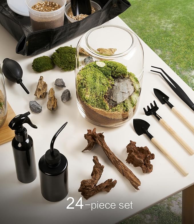 Terrarium Kit with Grow Light – 24-Piece DIY Glass Terrarium Set with Tools, Moss, Driftwood, Soil & Pebbles – Mini Gardening Kit for Air Plants, Succulents & Indoor Desk Decoration Gift