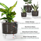 Plant Pots 6/5/4 inch Set of 3, Self Watering Pots for Indoor Outdoor Plants Flowers, Self Watering Planters with Reservoir, Drainage Hole and Absorbent Cotton Rope