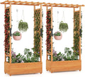 MAT EXPERT Raised Garden Bed with Trellis & Hanging Roof, Lattice Panel with Drainage Hole for Flower, Climbing Plant, Herb, Planter Box for Garden, Patio, Yard (2, 43.5" x 17.5" x 72" (L x W x H))
