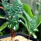 200PCS/BAG Green Succulents for DIY Bonsai and Potted Flowers - Vibrant Garden Delight