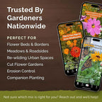 Eden Brothers Cut-Flower Wildflower Seed Mix