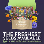 Drought Tolerant Wildflowers Mix – Extra Large Packet – Over 7,500 Open Pollinated Non-GMO Seeds – 21 Different Dryland Species