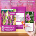 350,000+ Foxglove Seeds for Planting - Digitalis Purpurea Seeds, Tall Ornamental Flower Seeds for Outdoor Cottage and Pollinator Gardens