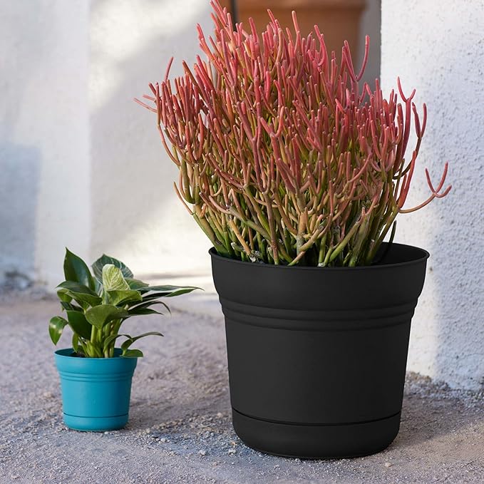 Bloem Saturn 14" Black Round Resin Planter Pot with Snap-in Saucer for Indoor and Outdoor Gardening