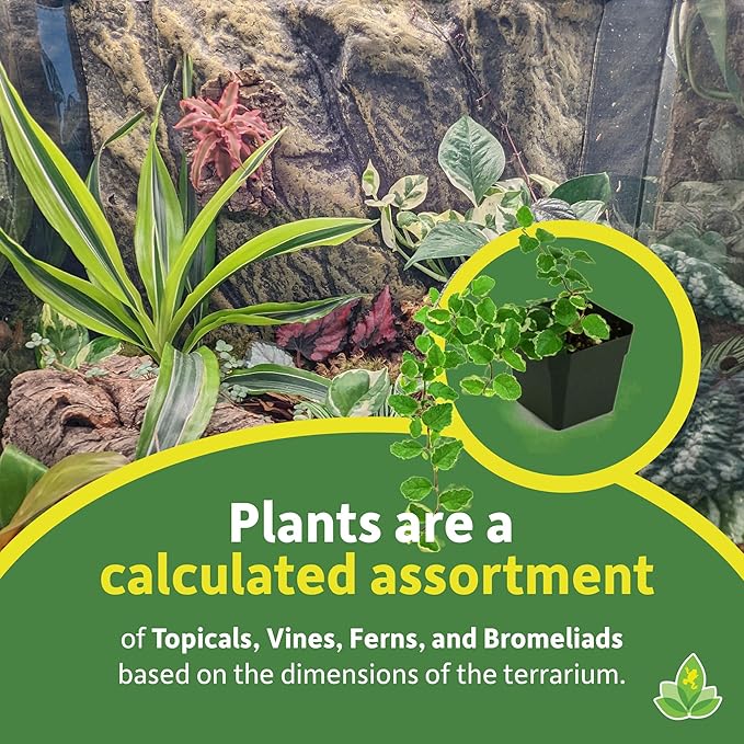 Josh's Frogs 40 Gallon Tropical Vivarium Plant Kit
