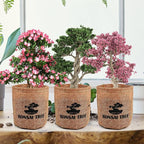 Indoor Starter Kit with Complete Planting Tools, Gardening DIY Gift for Plant Lovers