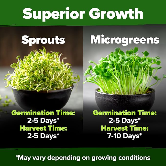 HOME GROWN Alfalfa Sprout Seeds 8 oz Bulk Heirloom Non-GMO, USA Sourced, High Germination, Fast Growing Microgreens, Nutrient Dense Sprouting Seeds for Sandwiches & Salads, Indoor Garden