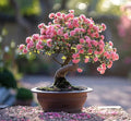 Woods Rose Bonsai Tree Seeds for Planting - 30 Seeds - Flowering Rose Bonsai