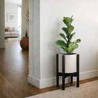 D'vine Dev Planter Pot with Stand - 8 Inch Plastic Cylinder Flower Pot with Wood Planter Holder for Indoor, Oatmeal Pot + Ebony Stand, 55-C-K-4