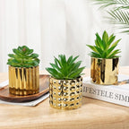Briful Succulents Plants Artificial in Gold Ceramic Pots (Set of 3), Small Fake Plants for Home Office Desk Decor – Modern Mini Potted Succulents for Bathroom, Bedroom, Living Room Table, Shelf