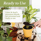 Professional Orchid Soil Mix Ready to Use Extra Large 8.2 Quarts, Premium Potting Soil for Orchids Bromeliads Epiphytic Plants, Fast Draining Blend Lava Calcined Clay Pinebark Made in USA