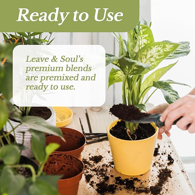 Professional Bonsai Soil Mix Ready to Use | Large 2.2 Quarts, Premium Potting Soil for Bonsai Trees, Fast Draining Blend Lava Limestone Pearock Calcined Clay Pinebark Indoor Outdoor | Made in USA