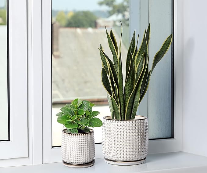 D'vine Dev 8 Inch Ceramic Beaded Stoneware Planter Pot - Flower Pot with Drainage Holes and Saucers for Indoor Succulent Plants or Flowers, Smoked White, 27-C-Q-1