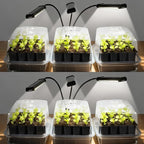 SOLIGT 144 Cell Self Watering Seed Starter Trays with 2 Grow Lights, 6 Seed Starter Kit with Humidity Domes, Full Spectrum Seedling Light with 8/12/18H Timer for Seed Starting, Seedling Growing