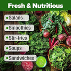 HOME GROWN 21,700+ Lettuce Seeds for Planting - 20 Heirloom Varieties, Non-GMO USA - Romaine, Butterhead, Iceberg, Leaf Lettuce, Spinach & Kale - Indoor, Outdoor & Hydroponic Garden Kit