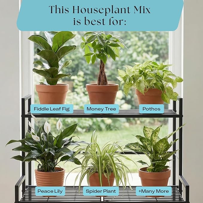 Rosy Soil Indoor Potting Soil for House Plants - Organic Potting Soil Mix for Indoor Plants - Enriched w/Root-Boosting Biochar for Foliage Plants, Flowers, Herbs - Peat Free, Less Prone to Gnats - 4qt