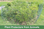 32.8Ft x 16In Plant Protectors from Animals, Wire Plant Protector Cage, Metal Chicken Wire Fence for Garden Plant Protection Guards from Rabbits Squirrel Deer, with Stakes, Zip Ties, Gloves & Pliers