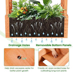 LDAILY Raised Garden Bed with Trellis, Above Ground Garden Bed with Hanging Roof, Side Trellis, & Drainage Holes, Planter Box for Outdoor Climbing Plants Vines Flowers (1, 31" L x 14" W x 60" H)