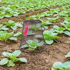 10 Pcs Garden Chicken Wire Plant Covers, 11x11Inch Metal Wire Garden Cloches Chicken Wire Cloche Plant Protector Heavy Duty Garden Plant Cloche for Keeping Bunnies Chicken Squirrels Birds Other Out