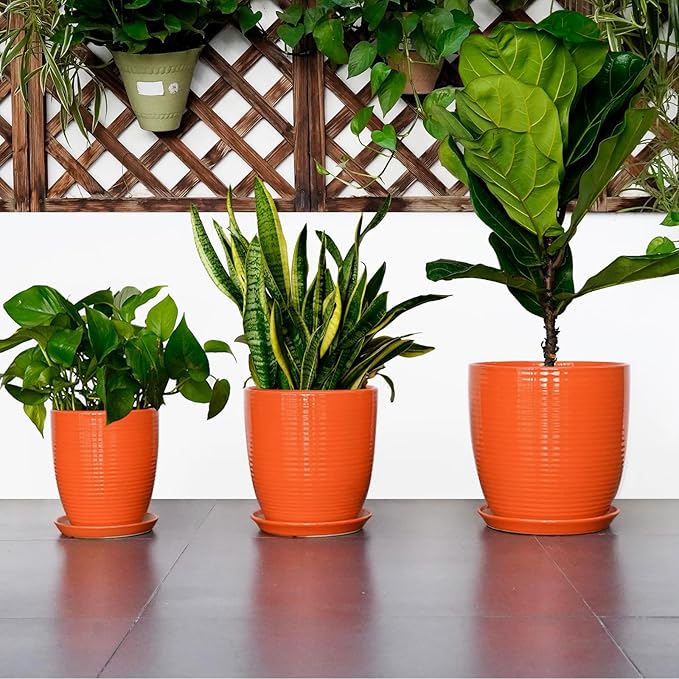 10 Inch Plant Pot, Ceramic Planters for Plants with Drainage and Saucer, Orange