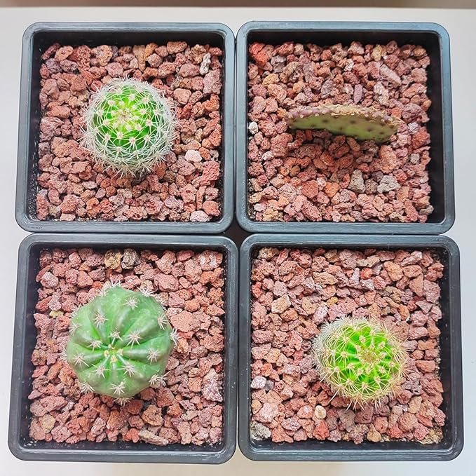 YISZM Red Horticultural Lava Rocks for Plants, 2lb Succulents Cactus Bonsai Soil Volcanic Rocks for Aquarium Outdoor Decorative Stones for Craft Projects, Vase Fillers