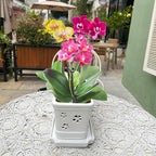 Rectangle Ceramic Orchid Pot with Holes and Saucer 12Inch Ceramic Large Pot Basin for Refilling Indoor and Outdoor Use Air Circulation Orchid Planter for Repotting Planter White
