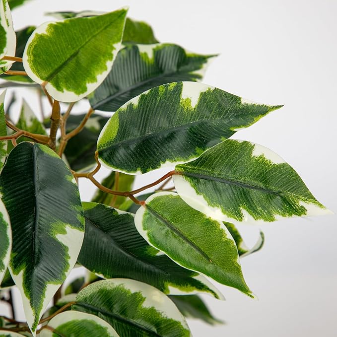GnFlus Fake Plant 15.7” Artificial Plants Indoor Small Ficus Potted Plants Silk Plants Faux Topiary Plant for Home Bathroom Bedroom Dining Room Kitchen Window Shelf Desk Centerpieces Tabletop Decor